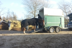 20150117_133725 - Kopiert.jpg