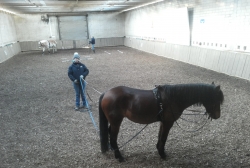20150117_150117.jpg