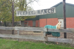 Die Ranch