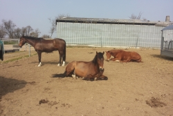 20150410_131636.jpg