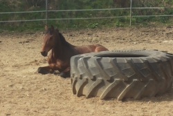 20150410_131933.jpg