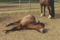 20150410_132042.jpg