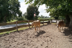 Impressionen