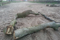 Naturtrail