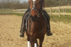 20150408_173442.jpg