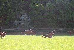 0306IMG_0555.jpg