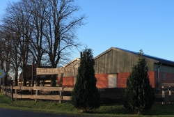 05.jpg